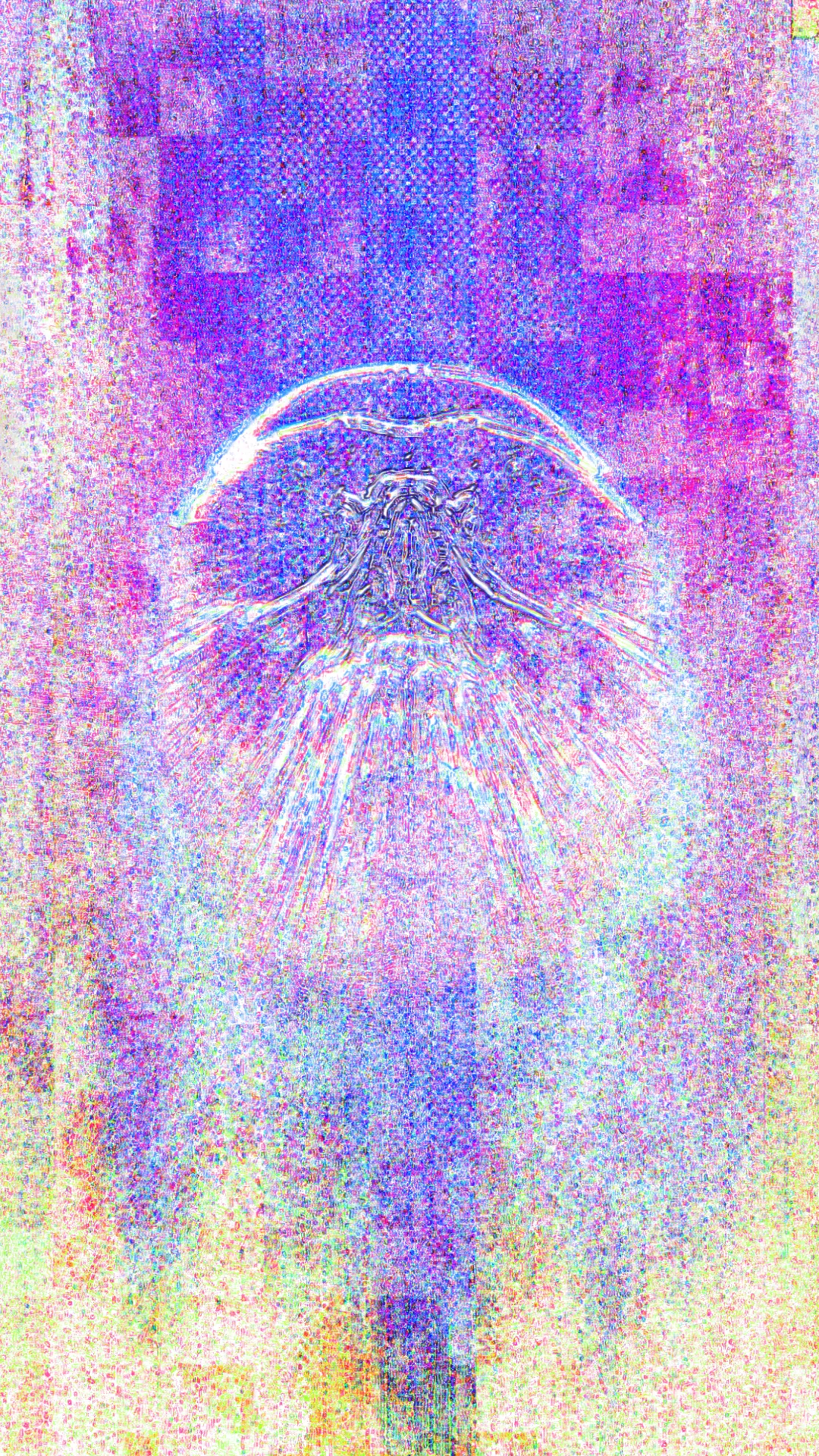 Vertical image of pink, blue and purple halftone noise with a delicate outlined jellyfish-like shape and radiating lines in the centre