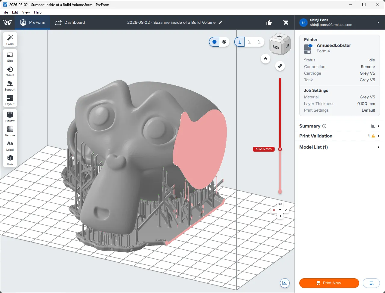 PreForm 3D print preparation software showing a monkey head model with support structures on a build platform, next to printer and job settings